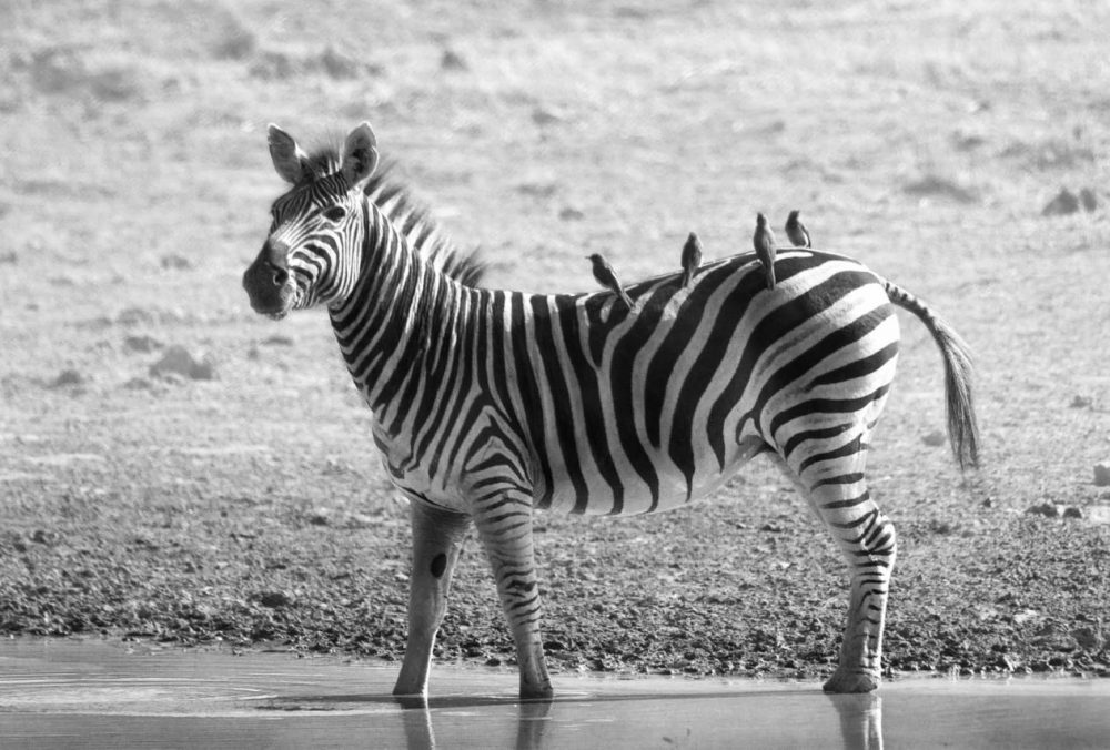 qualified clients fast