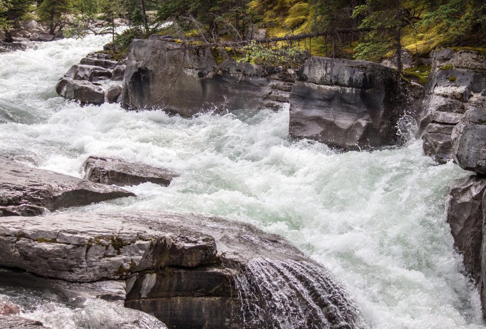 Raging River and Success